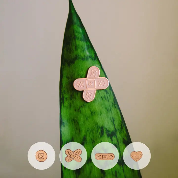 Bandaid 4-Pack 🌱 Plant Magnet 🧲 – Infinity Floral, Osseo MN
