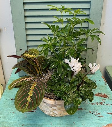 Blooming Garden - Medium – Infinity Floral, Osseo MN