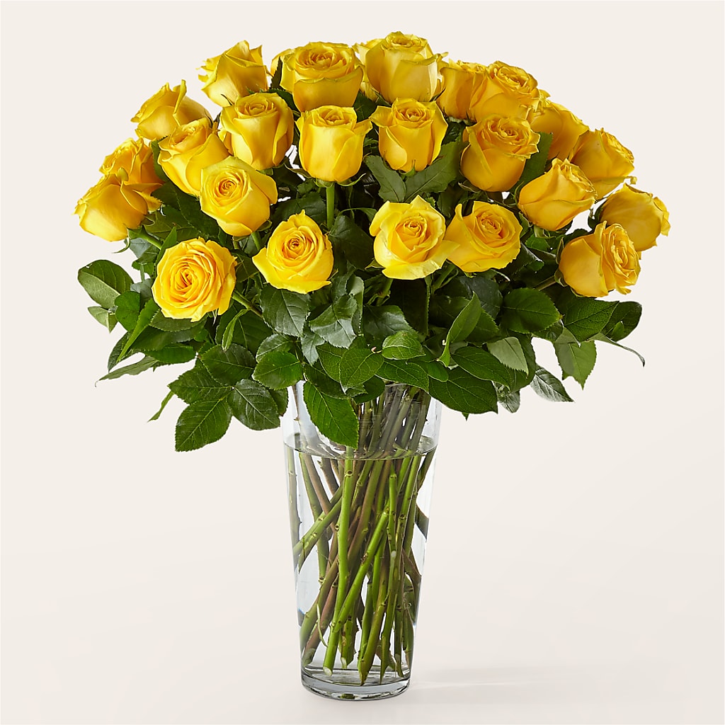 Long Stem Yellow Rose Bouquet – Infinity Floral, Osseo MN