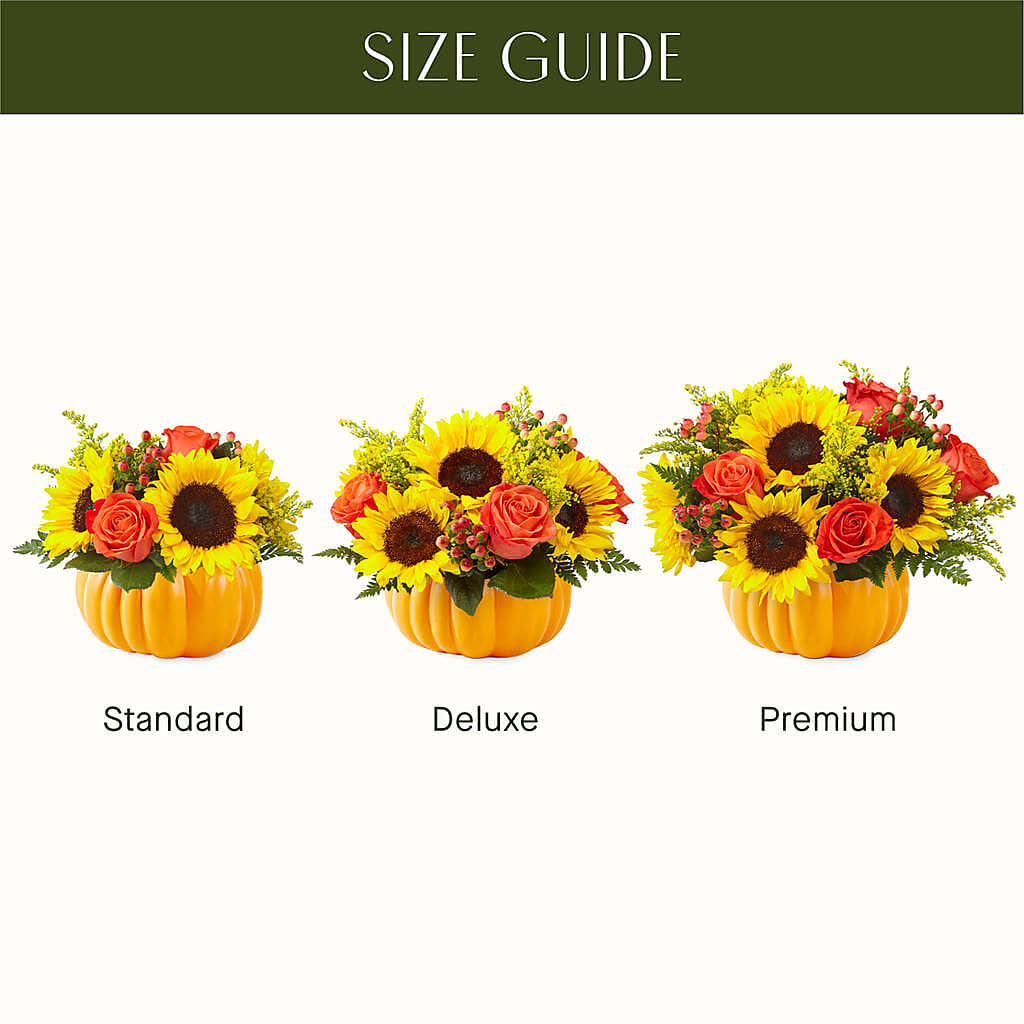 Pick of the Patch Pumpkin Bouquet – Infinity Floral, Osseo MN