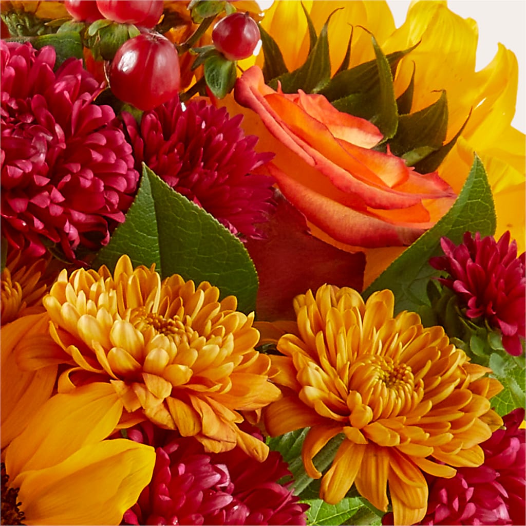 Sweater Season - A Florist Original – Infinity Floral, Osseo MN