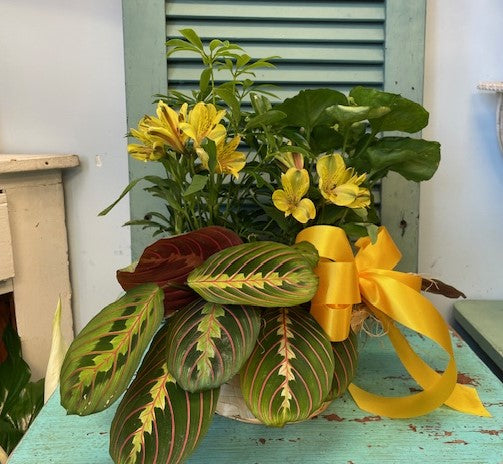Gentle Reflections Garden – Infinity Floral, Osseo MN