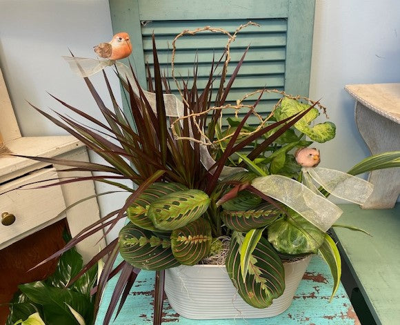 Secret Garden - Large – Infinity Floral, Osseo MN