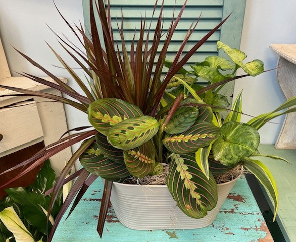Secret Garden - Large – Infinity Floral, Osseo MN