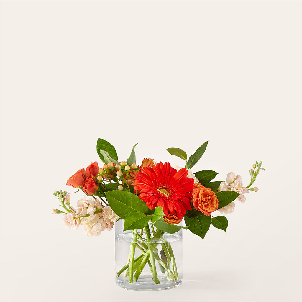 Paloma Please Bouquet – Infinity Floral, Osseo MN
