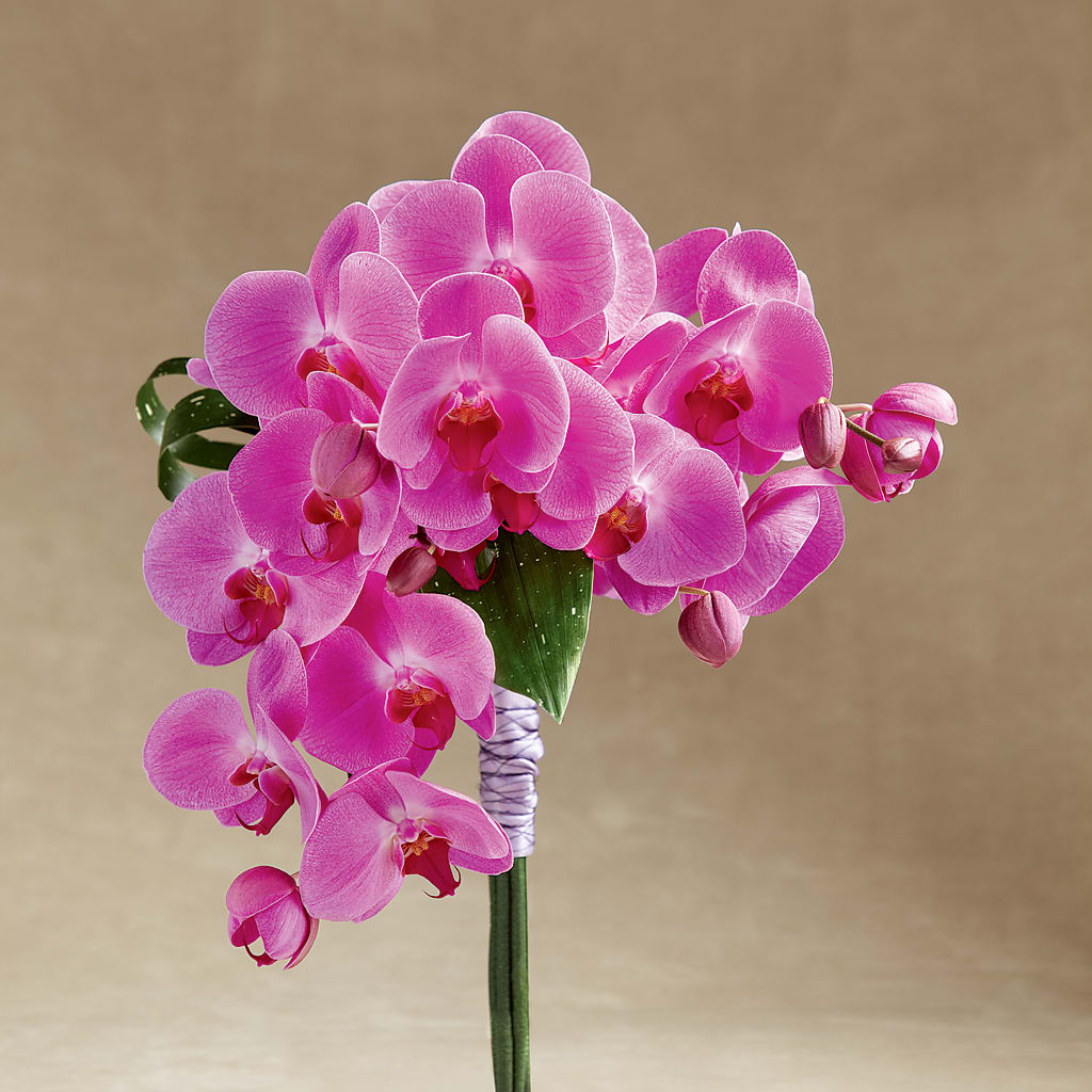 Glorious Bouquet – Infinity Floral, Osseo MN