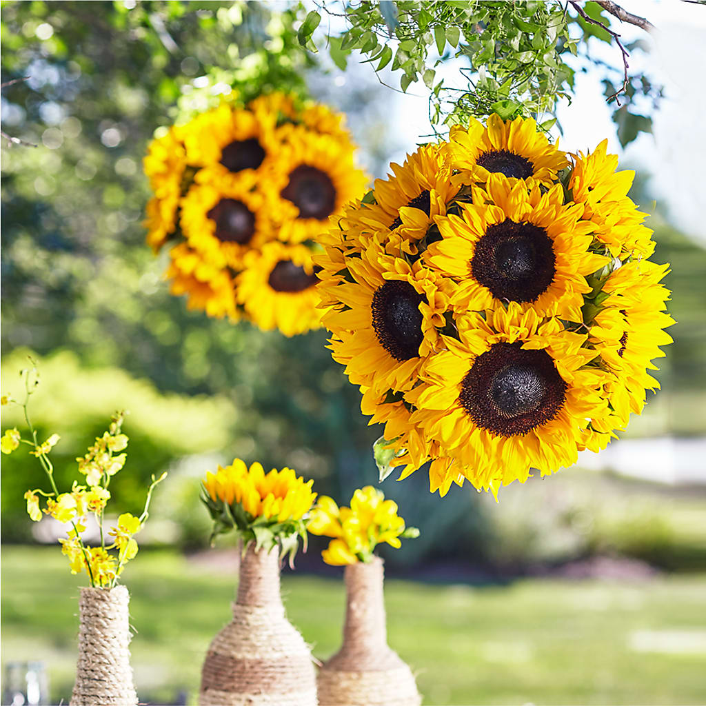 Sublime Garden Hanging Arrangement – Infinity Floral, Osseo MN