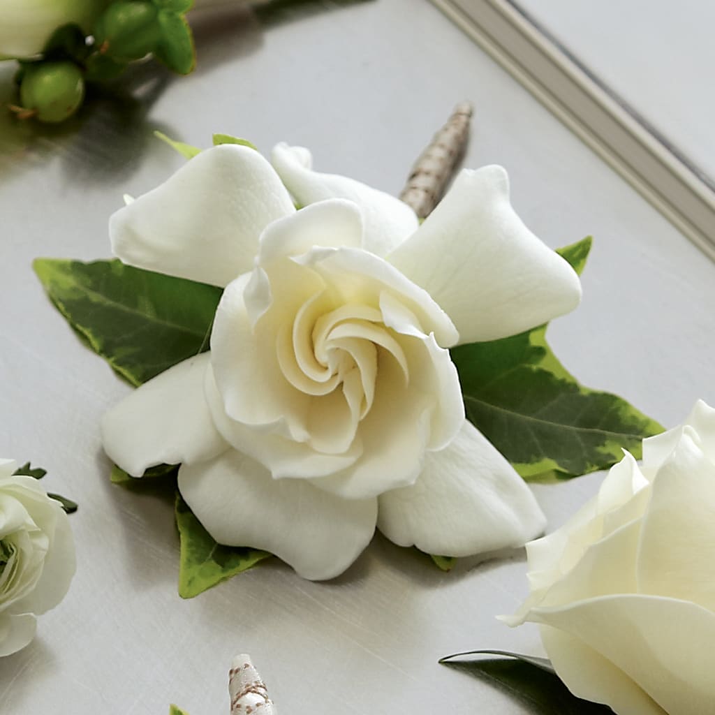 Gardenia Boutonniere – Infinity Floral, Osseo MN