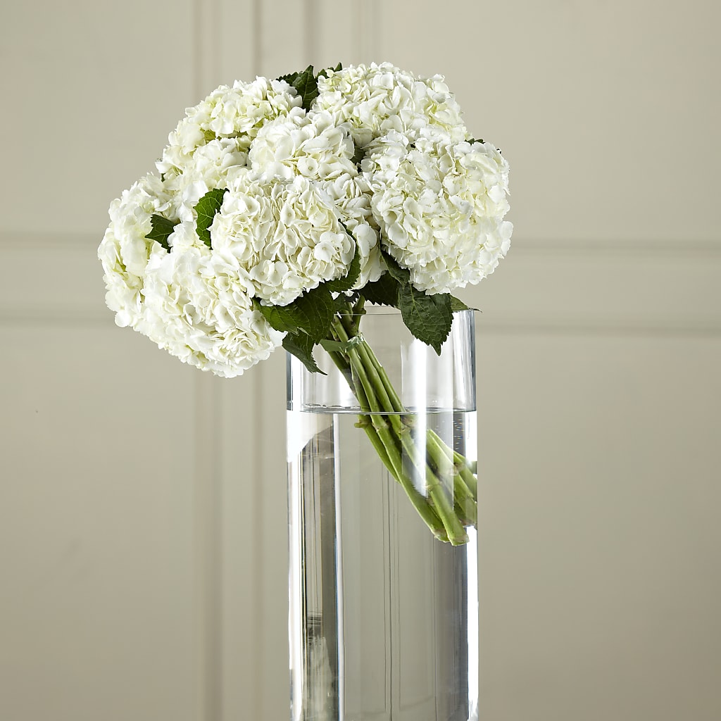 White Hydrangea Hand-Tied Bouquet – Infinity Floral, Osseo MN