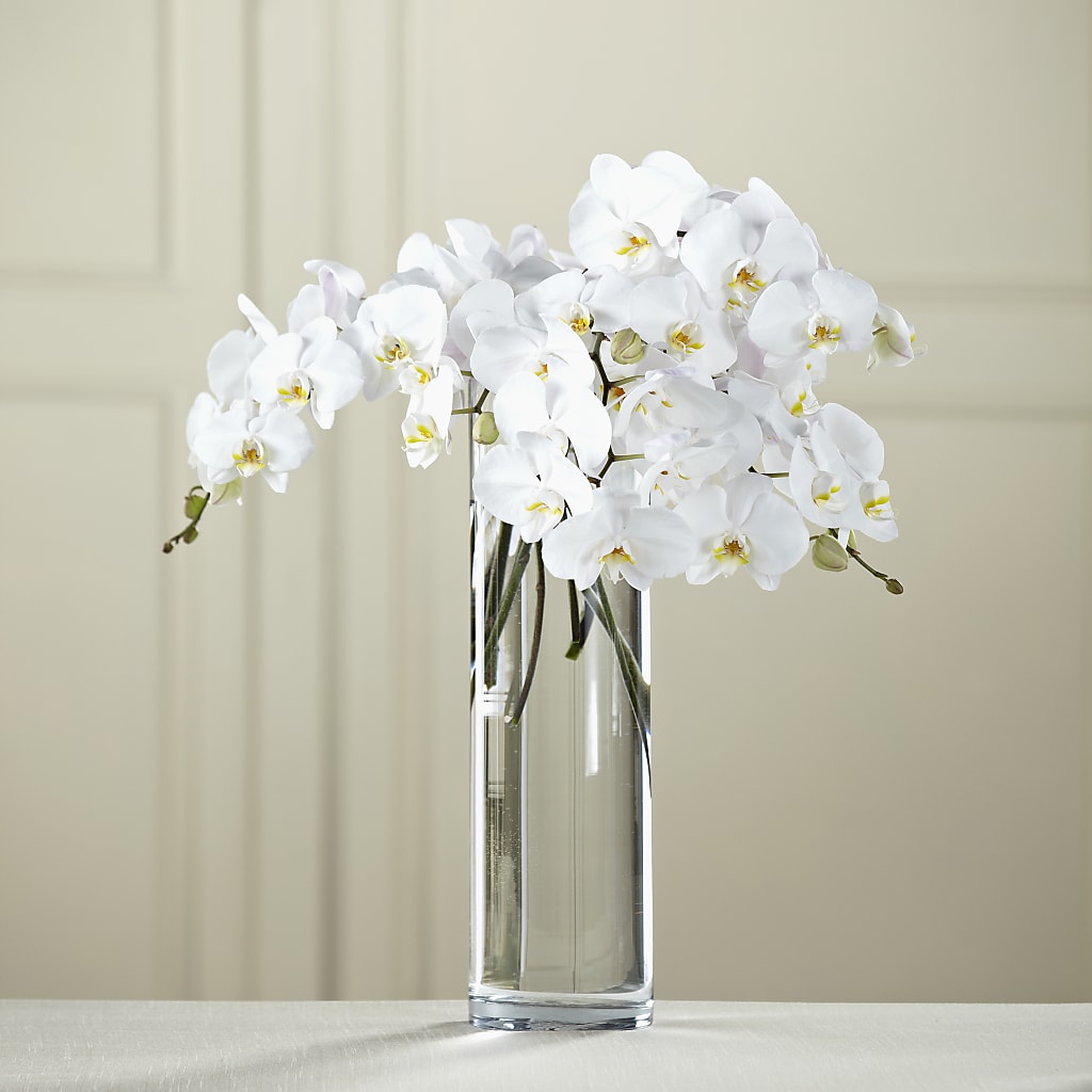 White Phalaenopsis Bouquet – Infinity Floral, Osseo MN