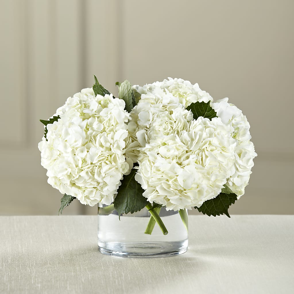 White Hydrangea Bouquet – Infinity Floral, Osseo MN