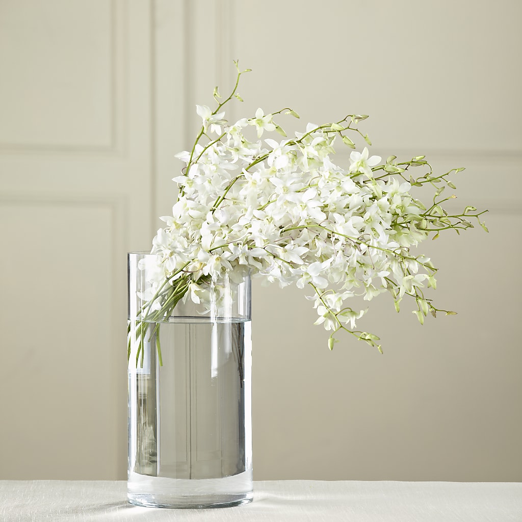 White Dendrobium Bouquet – Infinity Floral, Osseo MN