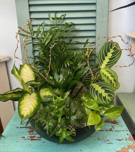 Zen Garden Collection – Infinity Floral, Osseo MN