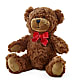 Adorable Plush Bear - Small