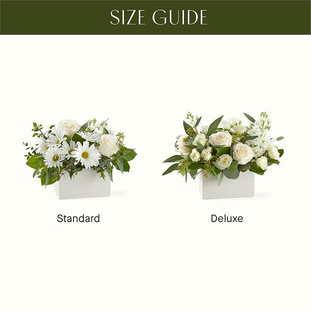 Fresh Linen Box Bouquet –  Infinity Floral, Osseo MN