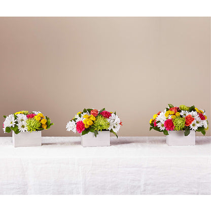 Sorbet Bouquet –  Infinity Floral, Osseo MN