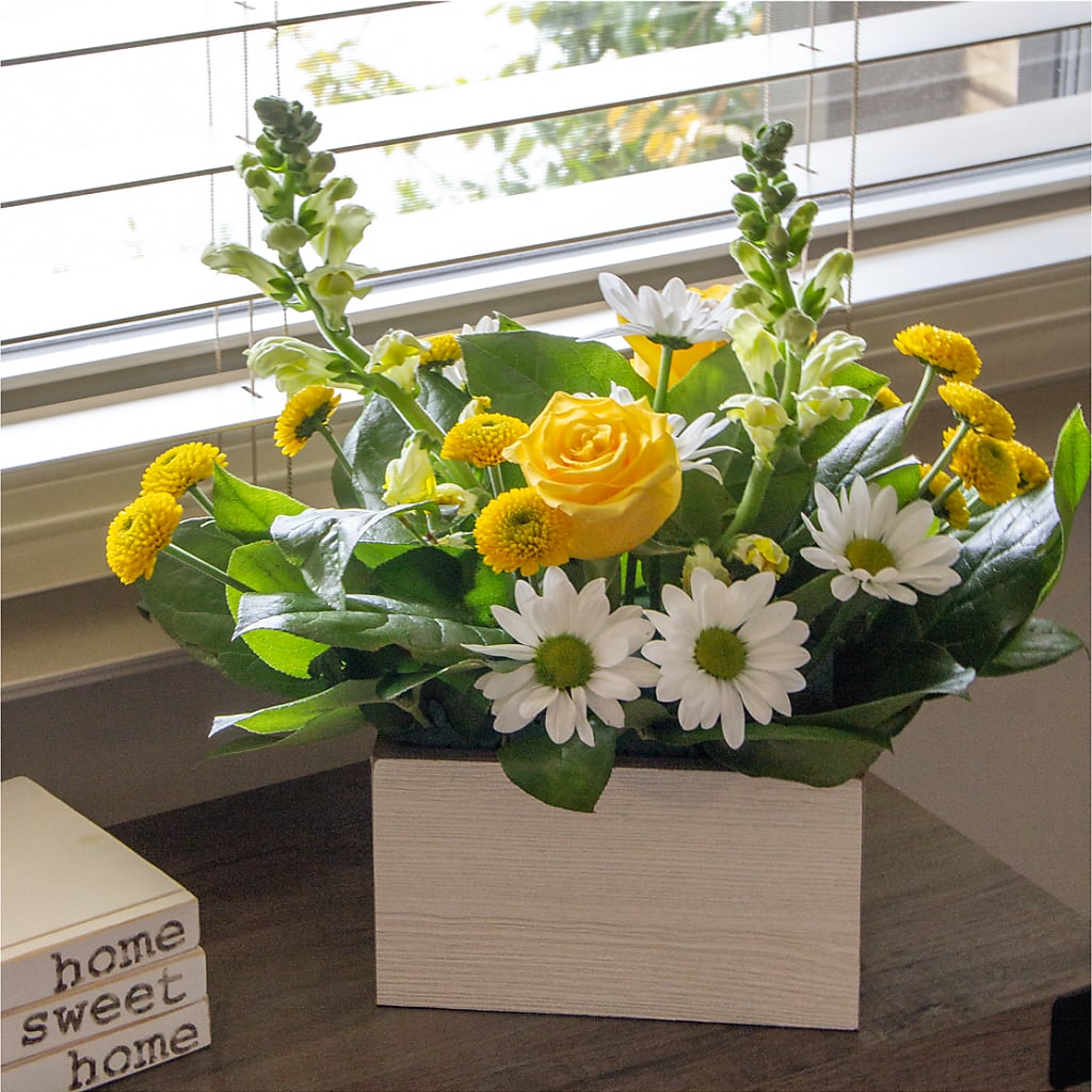 Sun Salutation Box Bouquet –  Infinity Floral, Osseo MN
