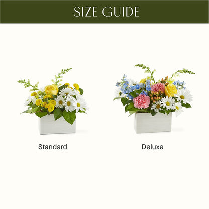 Sun Salutation Box Bouquet –  Infinity Floral, Osseo MN