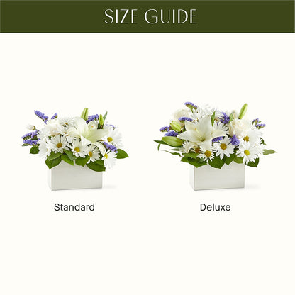 Beyond Blue Box Bouquet –  Infinity Floral, Osseo MN