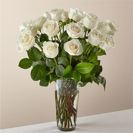 Long Stem White Rose Bouquet –  Infinity Floral, Osseo MN