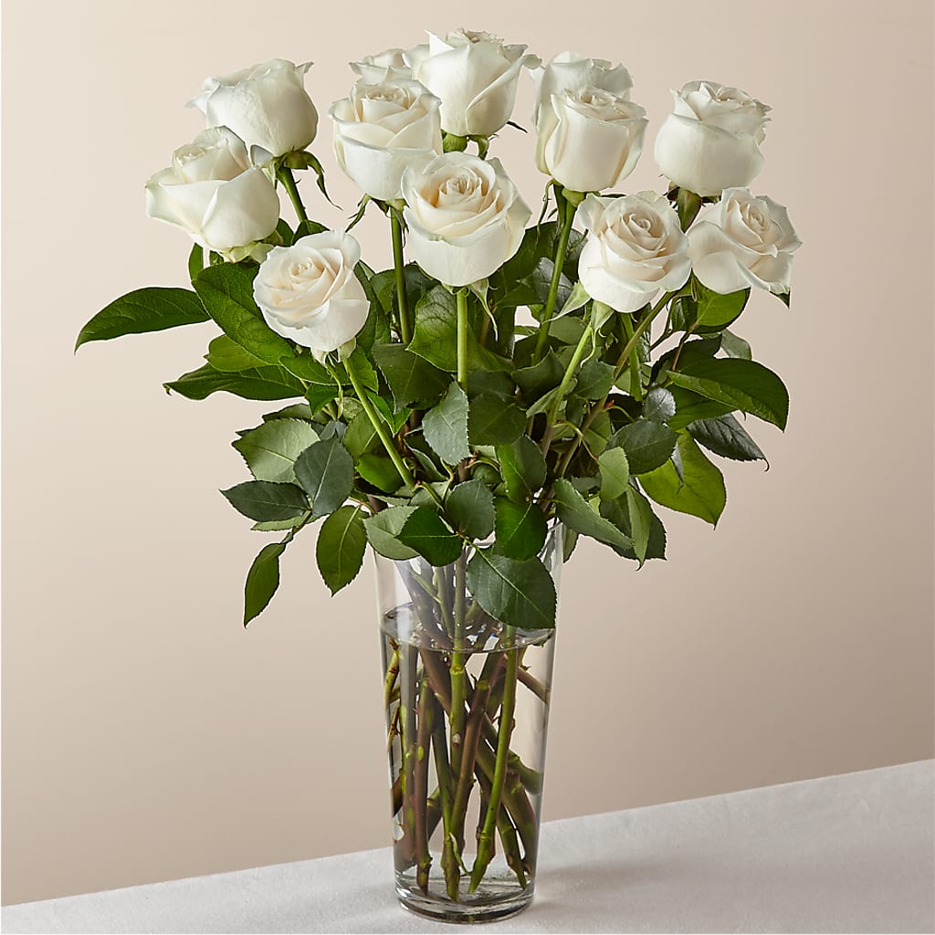Long Stem White Rose Bouquet –  Infinity Floral, Osseo MN