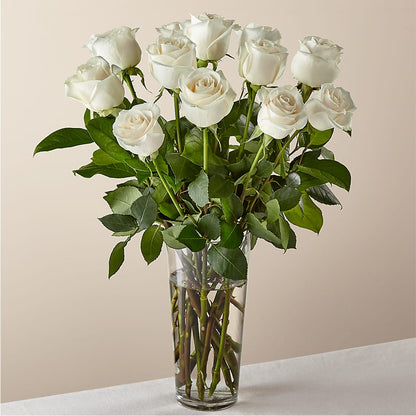 Long Stem White Rose Bouquet –  Infinity Floral, Osseo MN