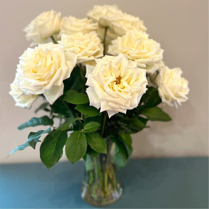 Long Stem Yellow Rose Bouquet –  Infinity Floral, Osseo MN