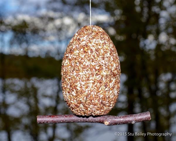 EggNormous Garden Art