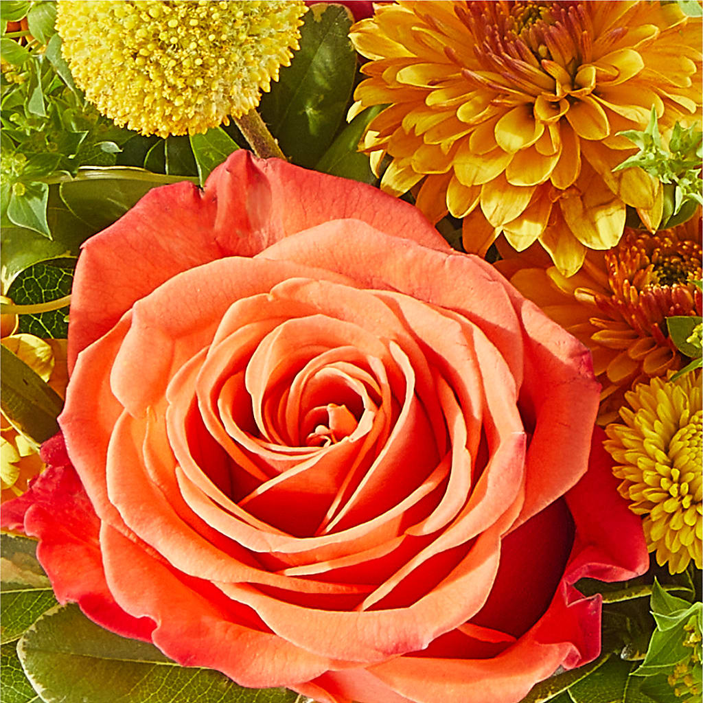 Gourdgeous Pumpkin –  Infinity Floral, Osseo MN