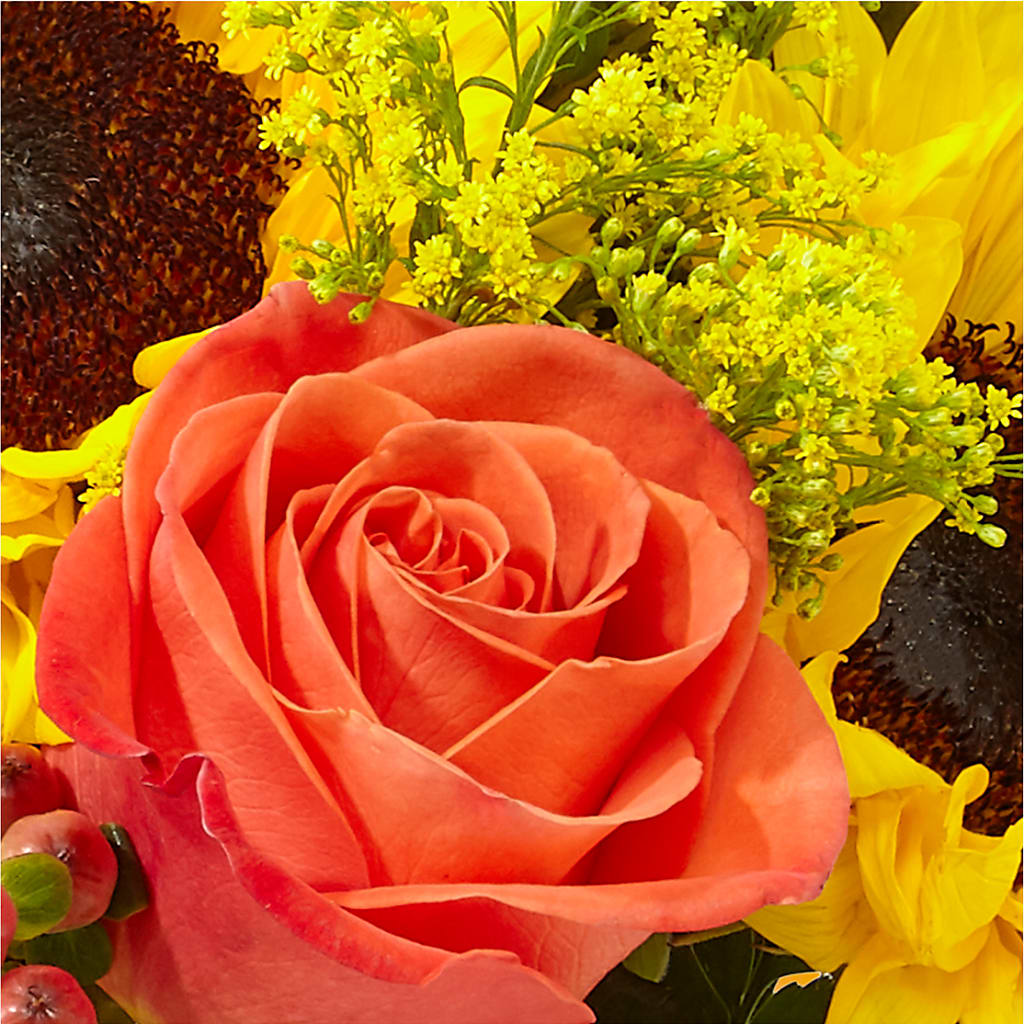 Pick of the Patch Pumpkin Bouquet –  Infinity Floral, Osseo MN
