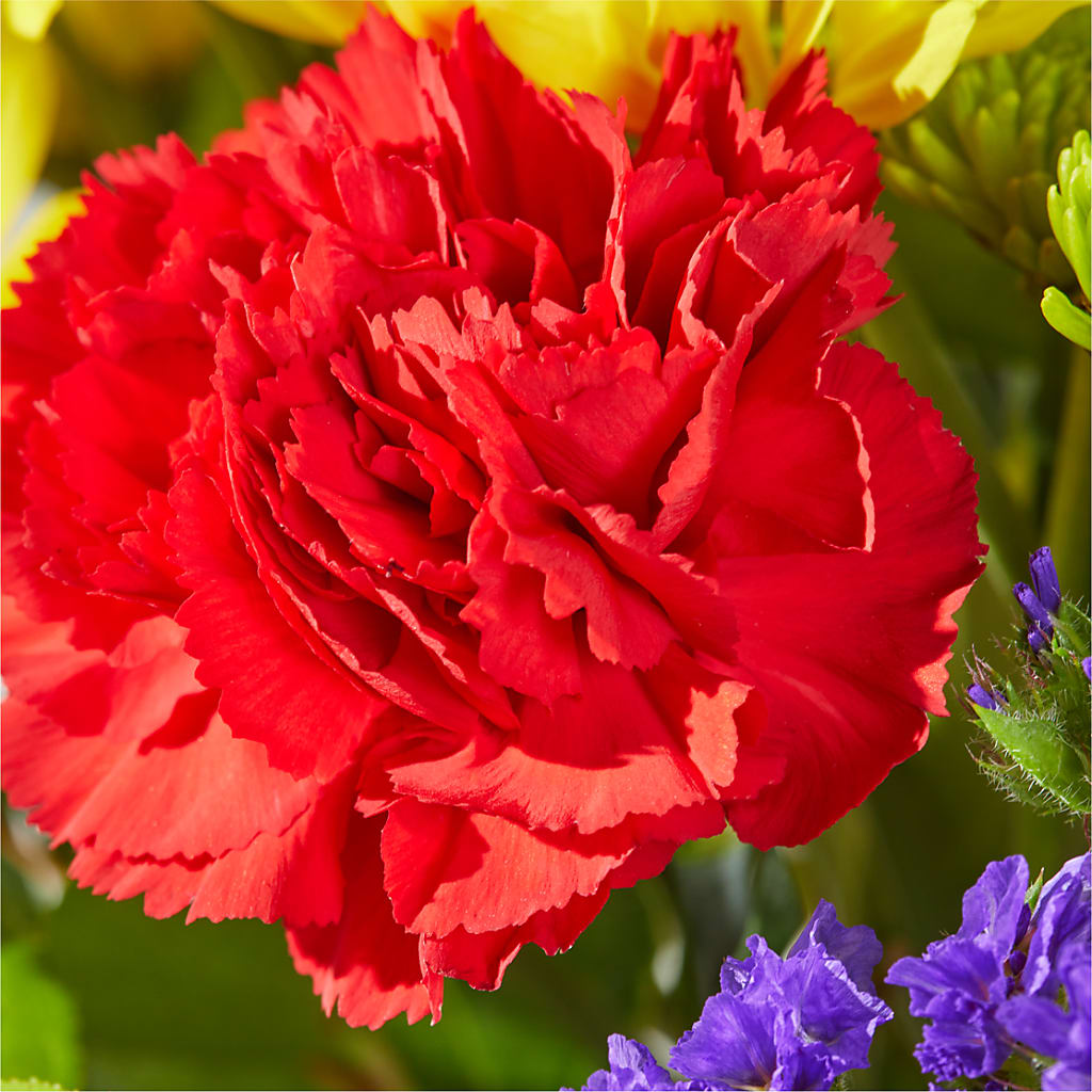 Brighter Days Bouquet –  Infinity Floral, Osseo MN