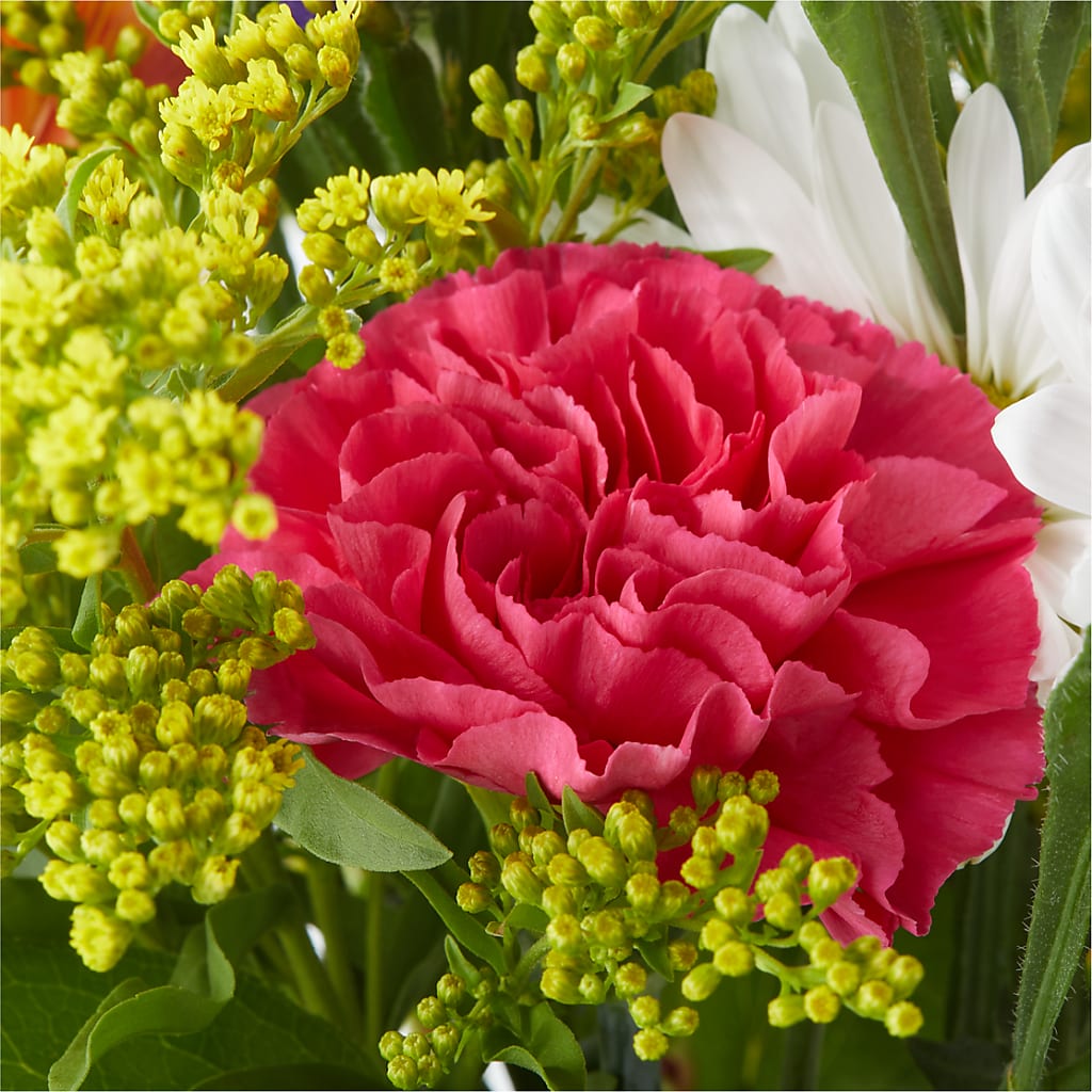 Oopsie Daisy Bouquet –  Infinity Floral, Osseo MN