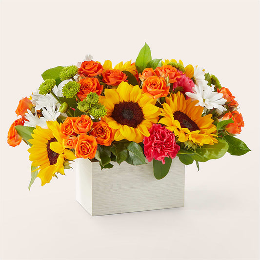 Sun-drenched Blooms Box Bouquet –  Infinity Floral, Osseo MN