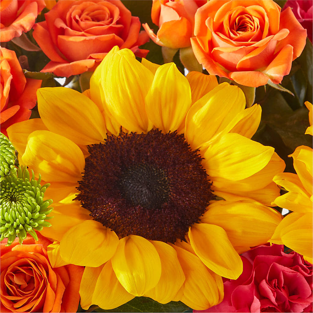 Sun-drenched Blooms Box Bouquet –  Infinity Floral, Osseo MN