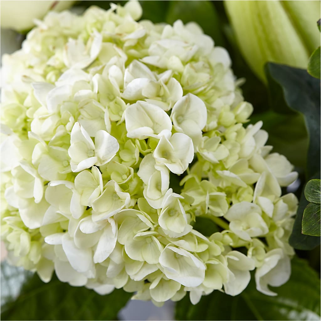 Classic Ivory – A Florist Original –  Infinity Floral, Osseo MN