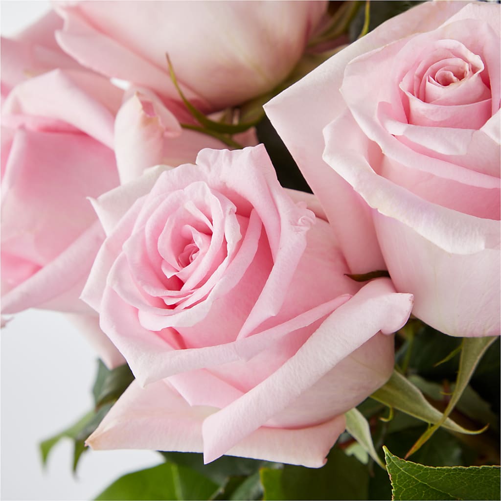 Picture Perfect Pink Rose Bouquet –  Infinity Floral, Osseo MN