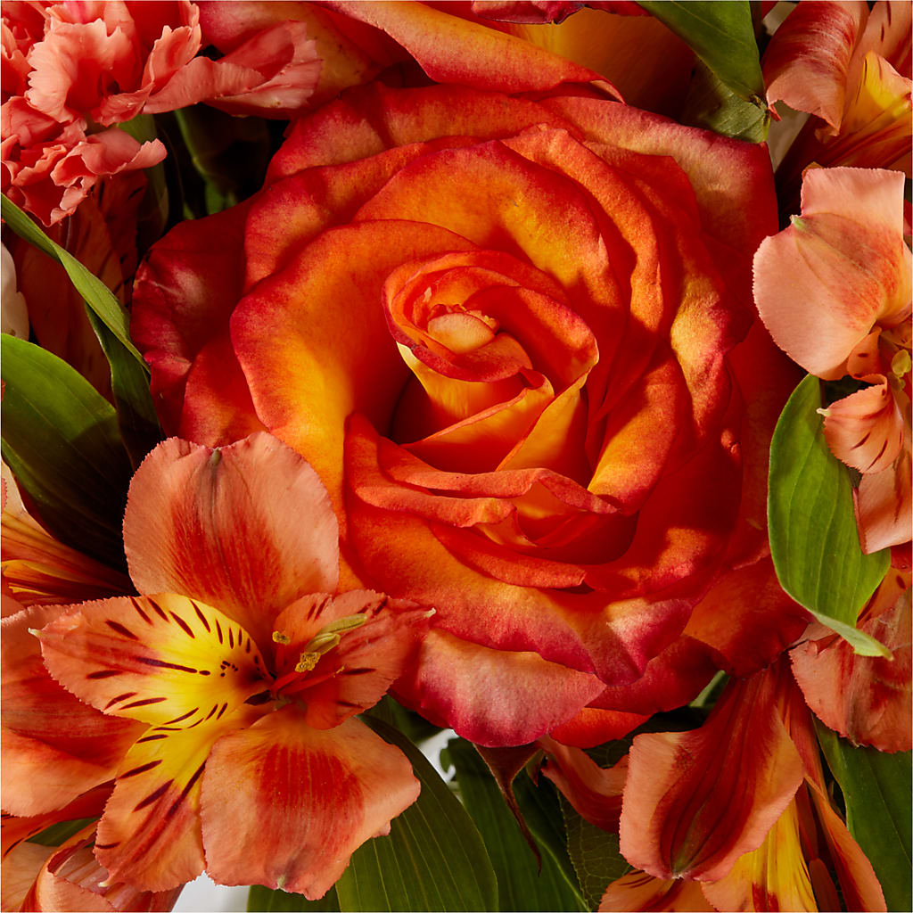 Apricot Glow Bouquet –  Infinity Floral, Osseo MN