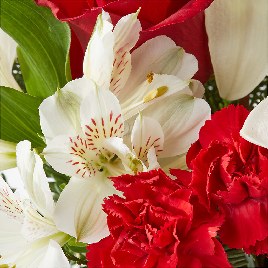 Holiday Season Bouquet –  Infinity Floral, Osseo MN