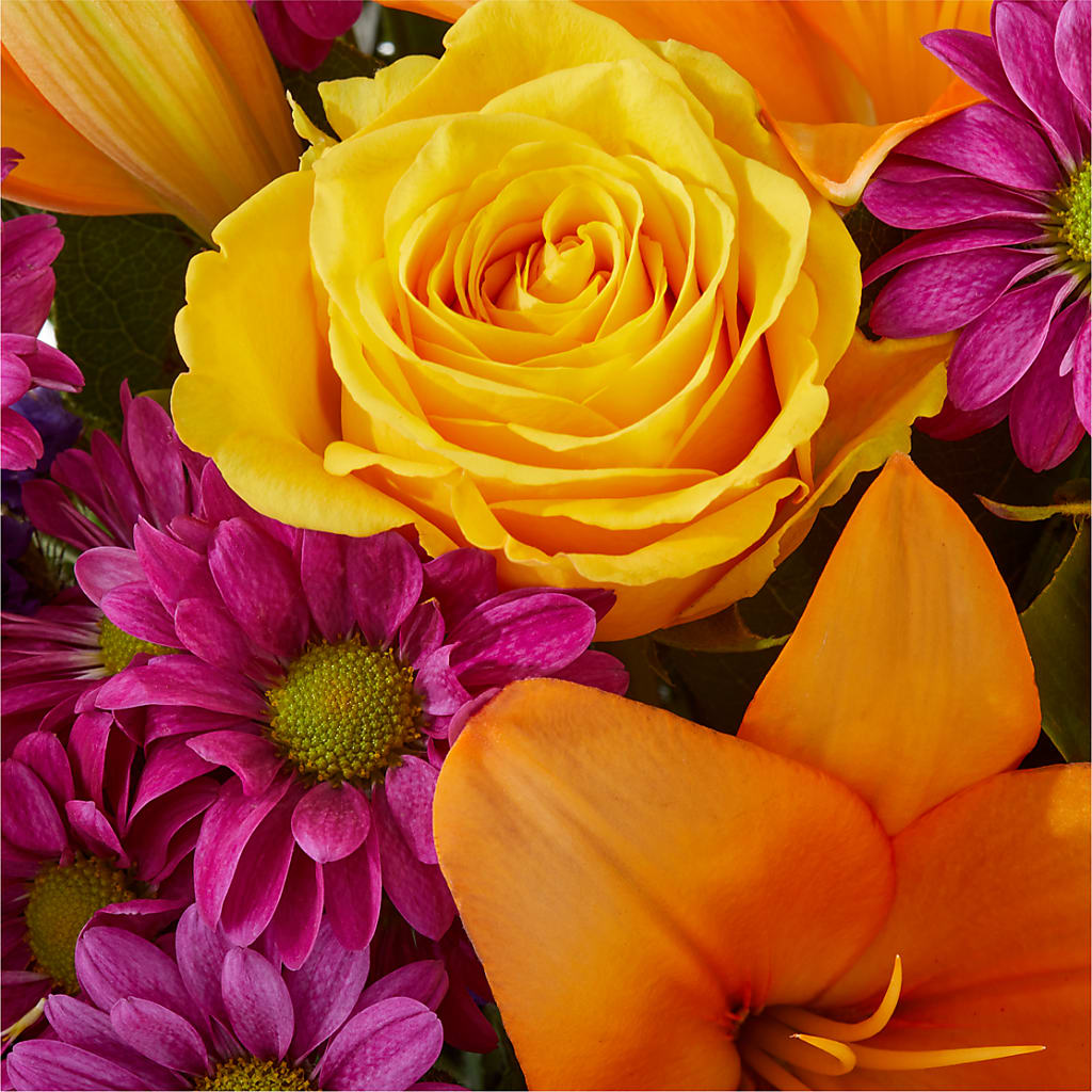 Colorful Visions Bouquet –  Infinity Floral, Osseo MN