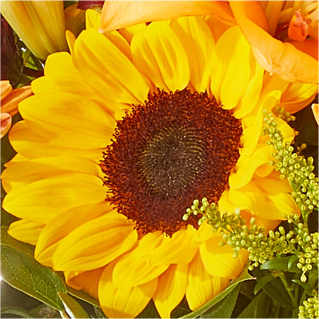 Seasons Change Bouquet –  Infinity Floral, Osseo MN