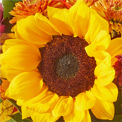 Sunny Side Bouquet –  Infinity Floral, Osseo MN