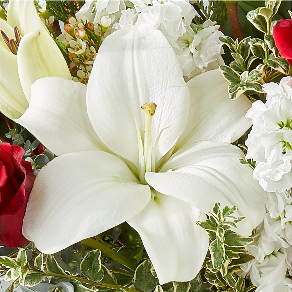 Twinkle Lights Bouquet –  Infinity Floral, Osseo MN