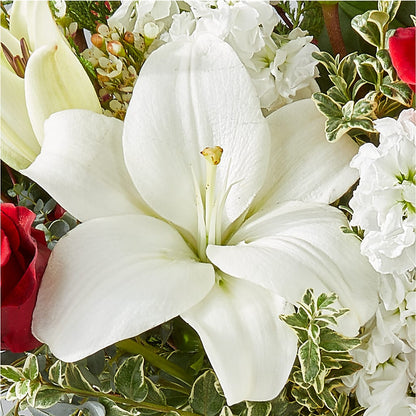 Twinkle Lights Bouquet –  Infinity Floral, Osseo MN