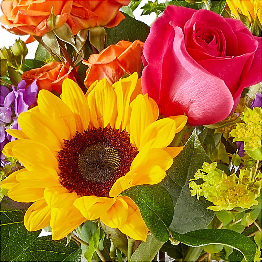 Vibrant Greetings Bouquet –  Infinity Floral, Osseo MN