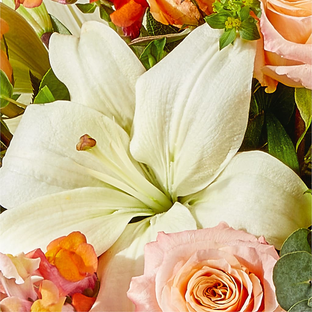 Grapefruit Splash Bouquet –  Infinity Floral, Osseo MN