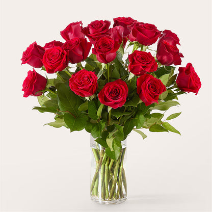 The One Red Rose Bouquet –  Infinity Floral, Osseo MN