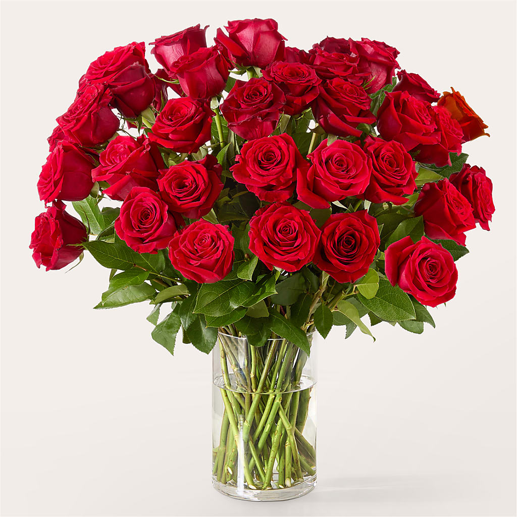 The One Red Rose Bouquet –  Infinity Floral, Osseo MN