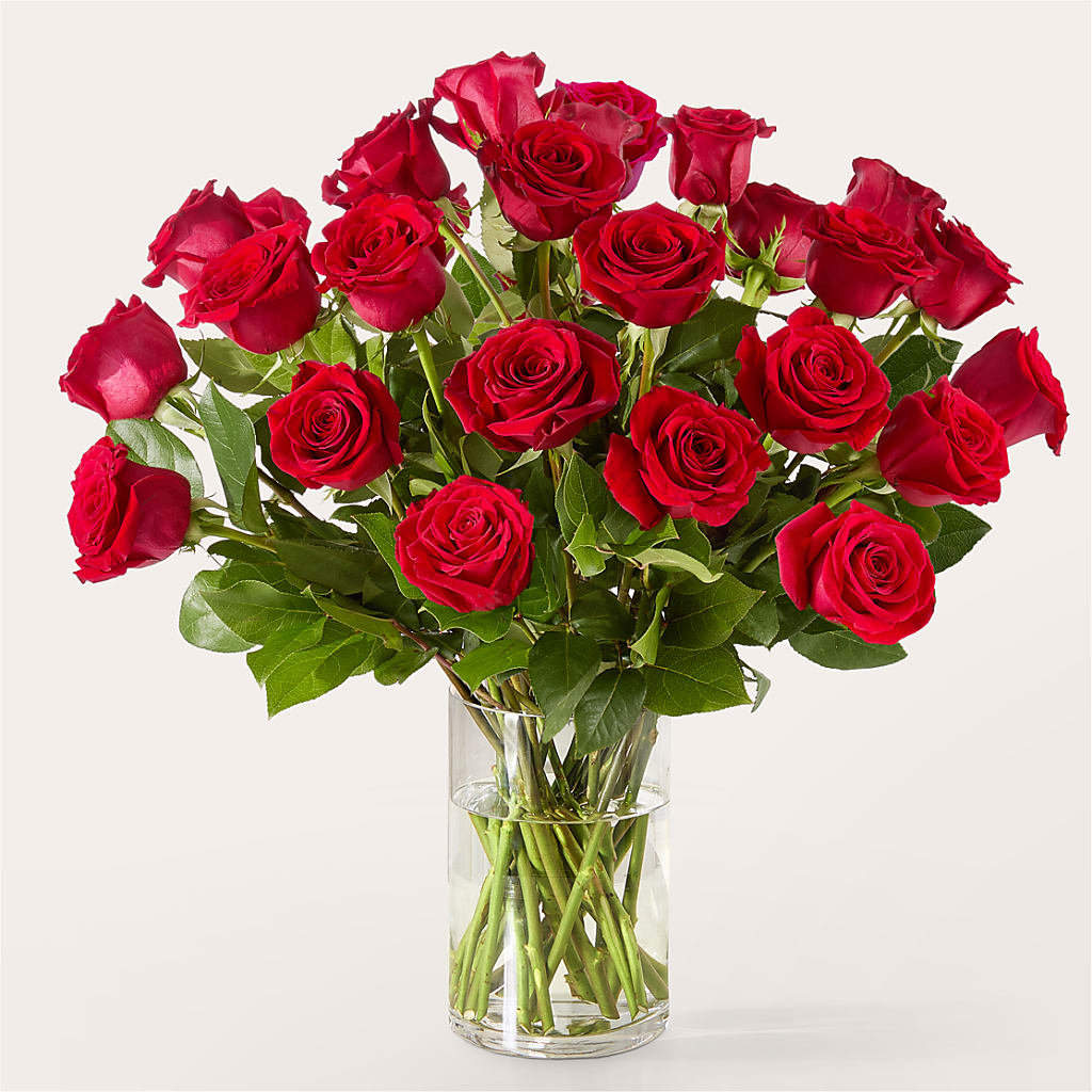 The One Red Rose Bouquet –  Infinity Floral, Osseo MN