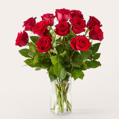 The One Red Rose Bouquet –  Infinity Floral, Osseo MN