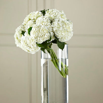 White Hydrangea Hand-Tied Bouquet –  Infinity Floral, Osseo MN